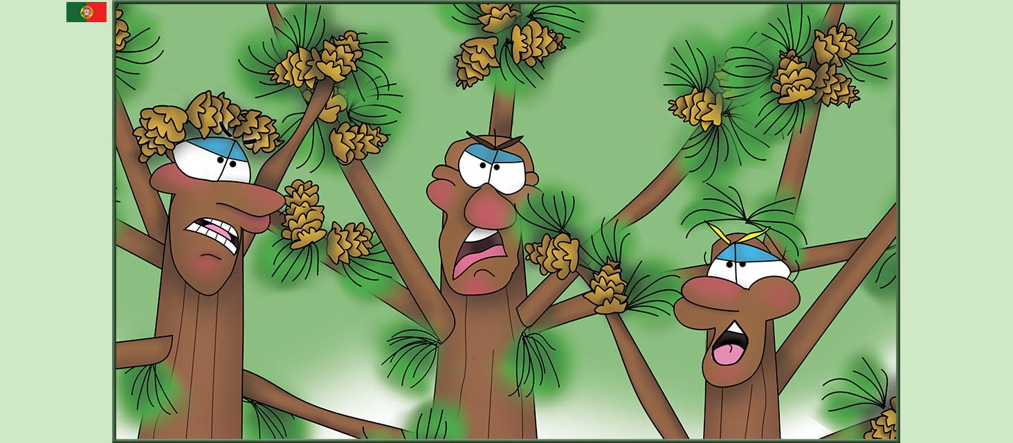 Bizzy Buddies Snail's Pace Productions The Three Tree Brothers Historias educativas ilustradas e bem-humoradas em varias linguas