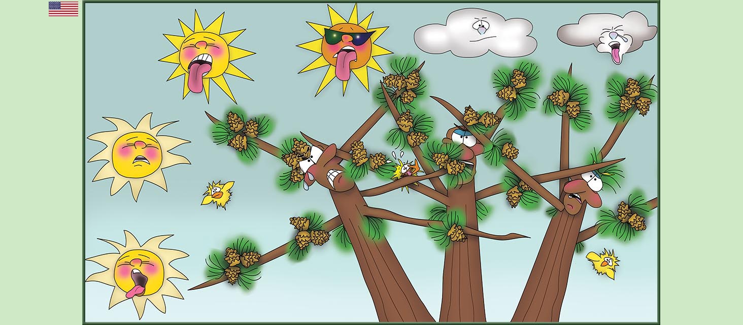 Bizzy Buddies Snail's Pace Productions The Three Tree Brothers Educational Illustrated Stories Multi Lingual Languages