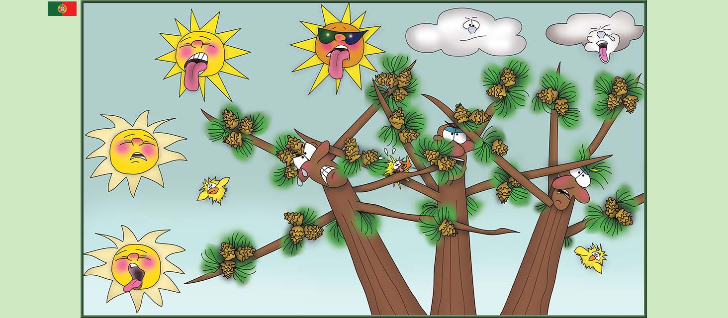 Bizzy Buddies Snail's Pace Productions The Three Tree Brothers Historias educativas ilustradas e bem-humoradas em varias linguas