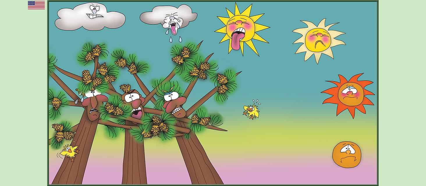 Bizzy Buddies Snail's Pace Productions The Three Tree Brothers Educational Illustrated Stories Multi Lingual Languages