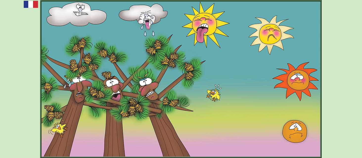 Bizzy Buddies Snail's Pace Productions Des histoires educatives illustrees et humoristiques en plusierur langues Vuja Day Multi Lingual Languages