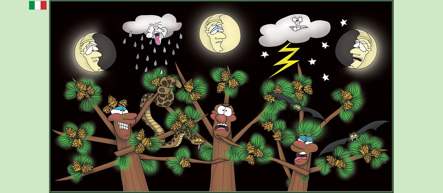 Bizzy Buddies Snail's Pace Productions storie illustrate umoristiche tradotte dall'inglese portoghese spagnola italiana francese tedesca Vuja Day