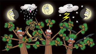 The Bizzy Buddies Snail's Pace Productions Humorous Illustrated Human Cartoons by Vuja Day Comedy Writer Illustrator