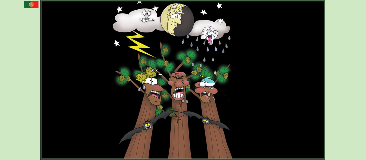 Bizzy Buddies Snail's Pace Productions The Three Tree Brothers Historias educativas ilustradas e bem-humoradas em varias linguas