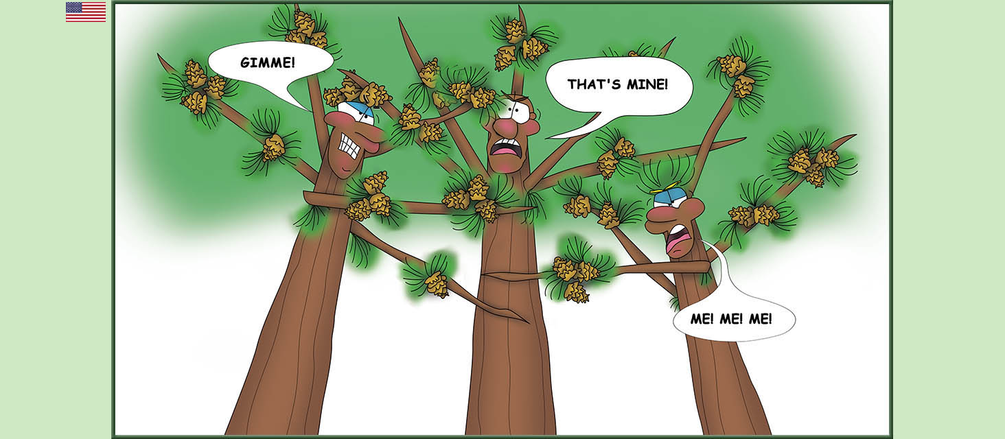 Bizzy Buddies Snail's Pace Productions The Three Tree Brothers Educational Illustrated Stories Multi Lingual Languages