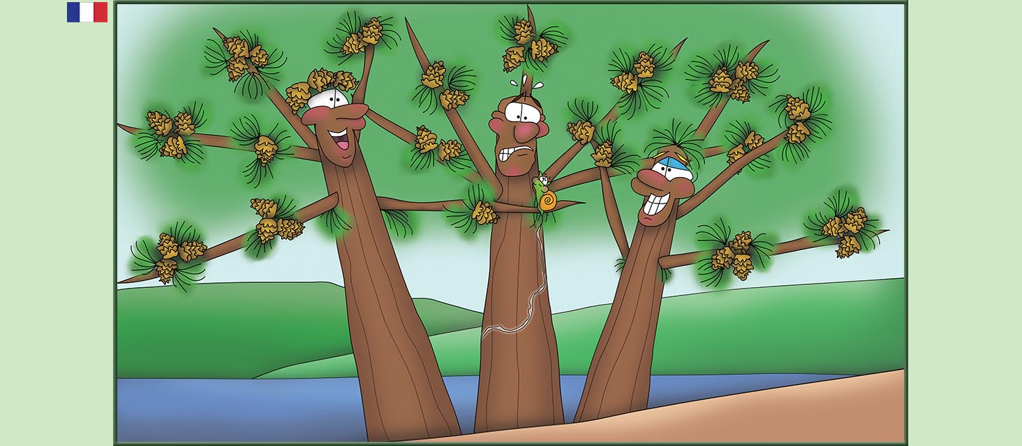 Bizzy Buddies Snail's Pace Productions Des histoires educatives illustrees et humoristiques en plusierur langues Vuja Day Multi Lingual Languages