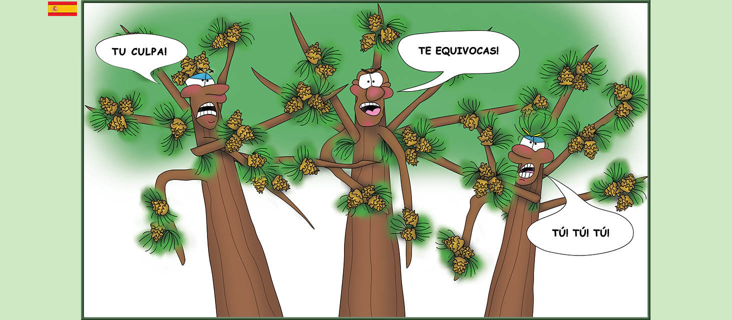 Bizzy Buddies Snail's Pace Productions Los Tres Hermanos Árbol Cuentos educativos ilustrados y humoristicos en varios idiomas