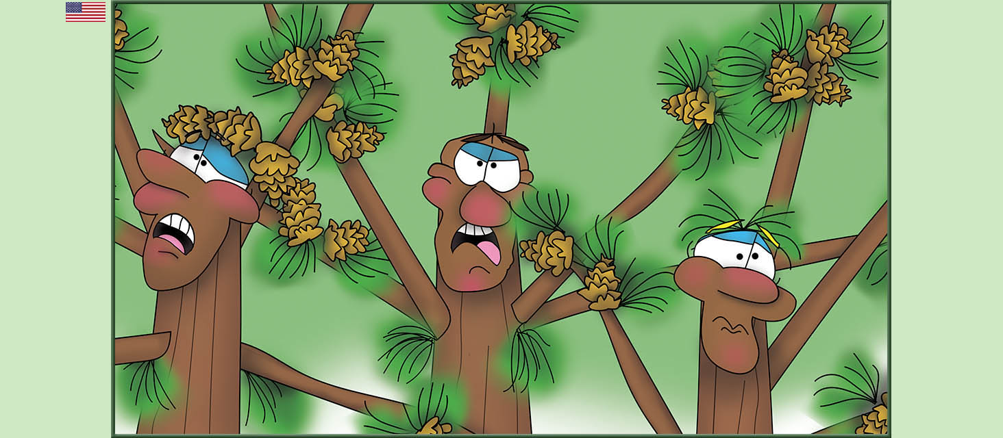 Bizzy Buddies Snail's Pace Productions The Three Tree Brothers Educational Illustrated Stories Multi Lingual Languages