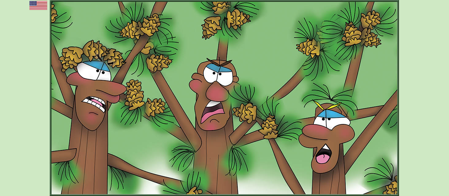 Bizzy Buddies Snail's Pace Productions The Three Tree Brothers Educational Illustrated Stories Multi Lingual Languages