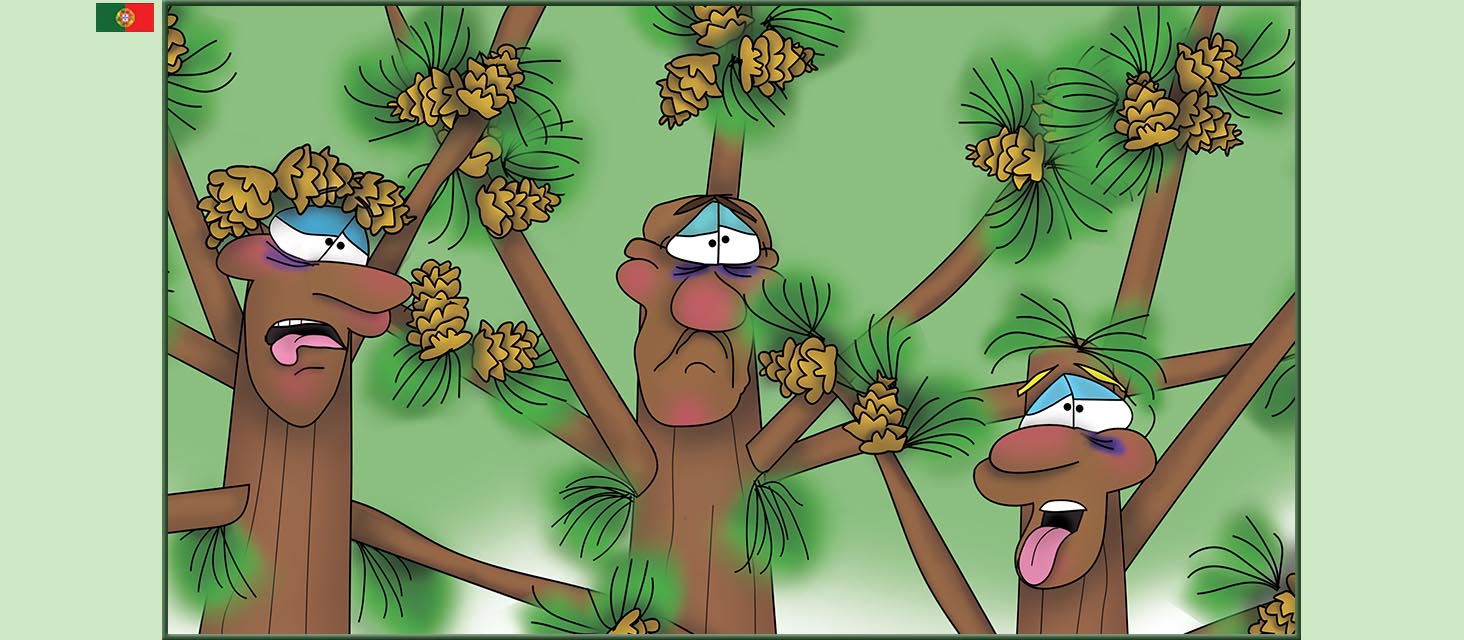 Bizzy Buddies Snail's Pace Productions The Three Tree Brothers Historias educativas ilustradas e bem-humoradas em varias linguas