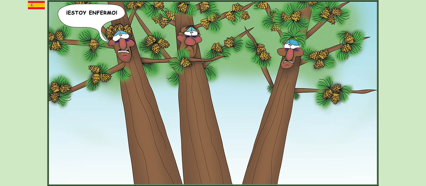 Bizzy Buddies Snail's Pace Productions Los Tres Hermanos Árbol Cuentos educativos ilustrados y humoristicos en varios idiomas