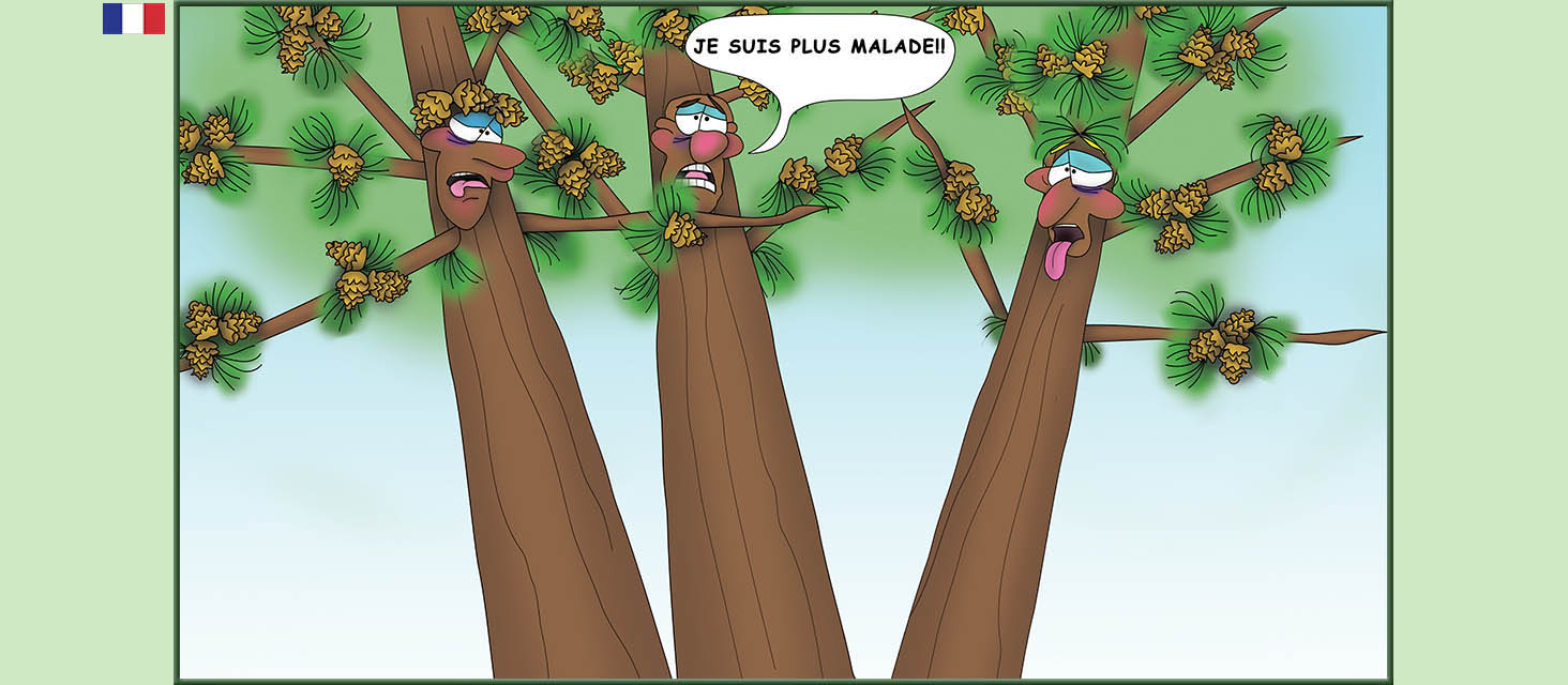 Bizzy Buddies Snail's Pace Productions Des histoires educatives illustrees et humoristiques en plusierur langues Vuja Day Multi Lingual Languages