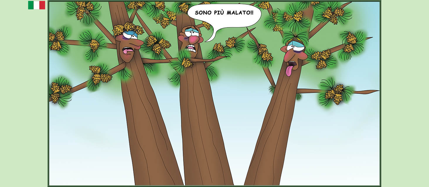 Bizzy Buddies Snail's Pace Productions storie illustrate umoristiche tradotte dall'inglese portoghese spagnola italiana francese tedesca Vuja Day