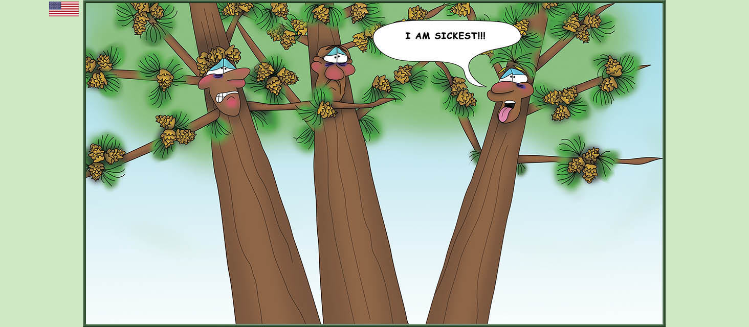 Bizzy Buddies Snail's Pace Productions The Three Tree Brothers Educational Illustrated Stories Multi Lingual Languages