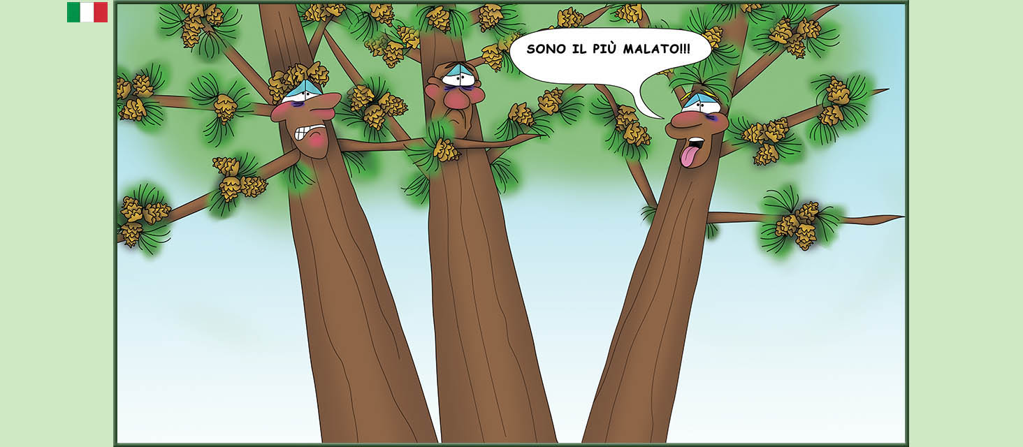 Bizzy Buddies Snail's Pace Productions storie illustrate umoristiche tradotte dall'inglese portoghese spagnola italiana francese tedesca Vuja Day