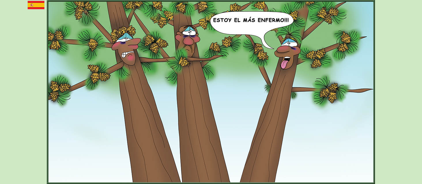 Bizzy Buddies Snail's Pace Productions Los Tres Hermanos Árbol Cuentos educativos ilustrados y humoristicos en varios idiomas