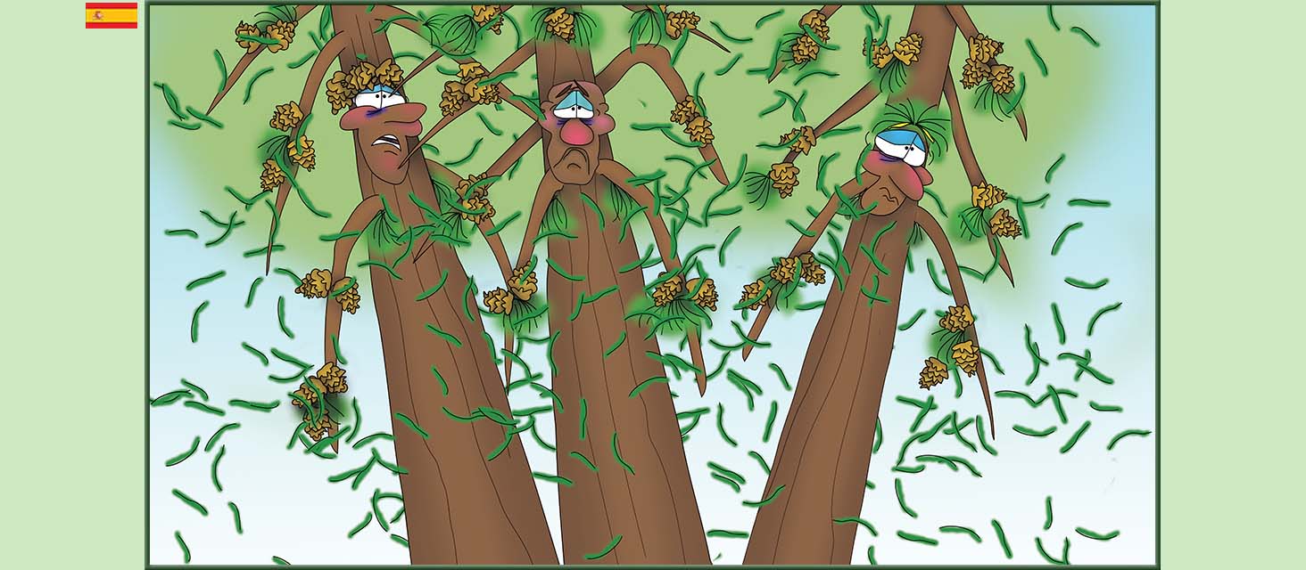 Bizzy Buddies Snail's Pace Productions Los Tres Hermanos Árbol Cuentos educativos ilustrados y humoristicos en varios idiomas
