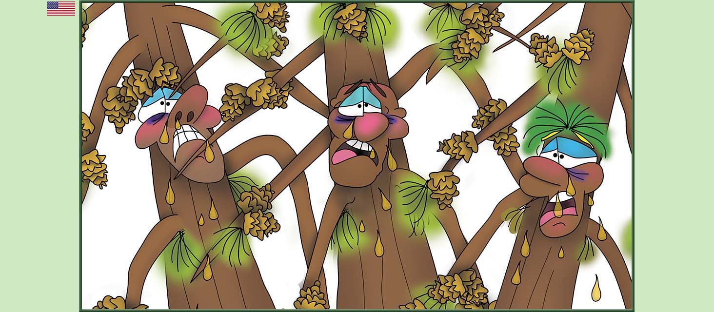 Bizzy Buddies Snail's Pace Productions The Three Tree Brothers Educational Illustrated Stories Multi Lingual Languages