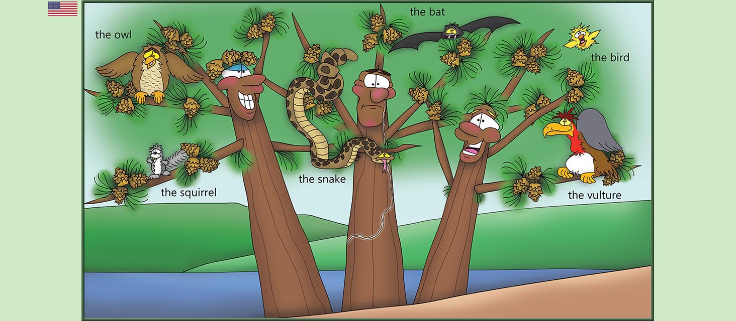 Bizzy Buddies Snail's Pace Productions The Three Tree Brothers Educational Illustrated Stories Multi Lingual Languages