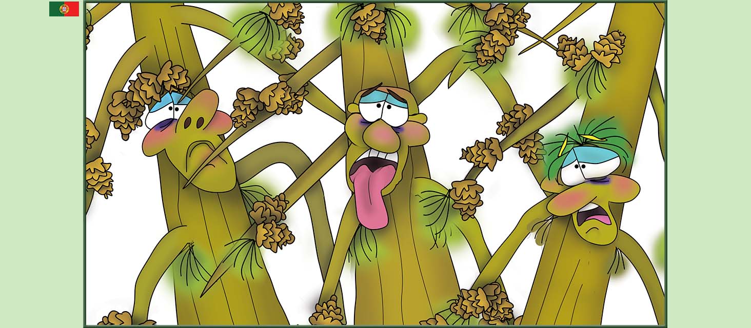 Bizzy Buddies Snail's Pace Productions The Three Tree Brothers Historias educativas ilustradas e bem-humoradas em varias linguas