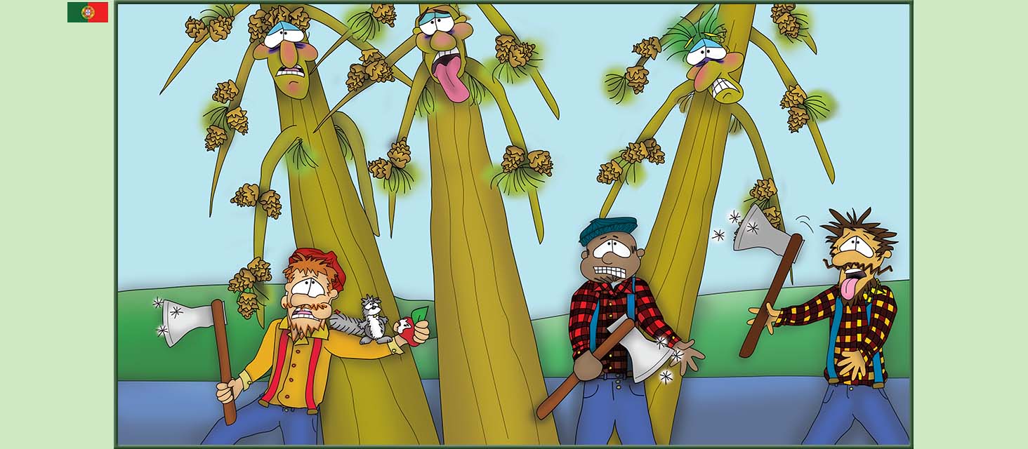 Bizzy Buddies Snail's Pace Productions The Three Tree Brothers Historias educativas ilustradas e bem-humoradas em varias linguas