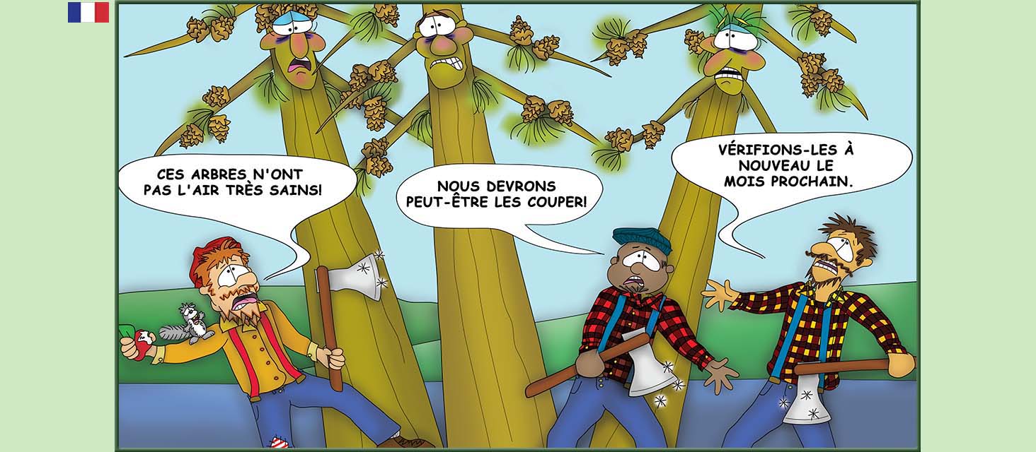 Bizzy Buddies Snail's Pace Productions Des histoires educatives illustrees et humoristiques en plusierur langues Vuja Day Multi Lingual Languages