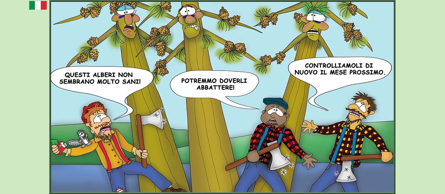 Bizzy Buddies Snail's Pace Productions storie illustrate umoristiche tradotte dall'inglese portoghese spagnola italiana francese tedesca Vuja Day