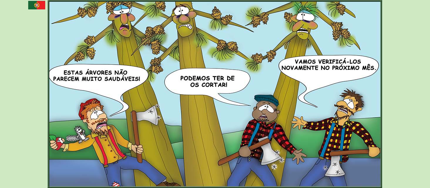 Bizzy Buddies Snail's Pace Productions The Three Tree Brothers Historias educativas ilustradas e bem-humoradas em varias linguas