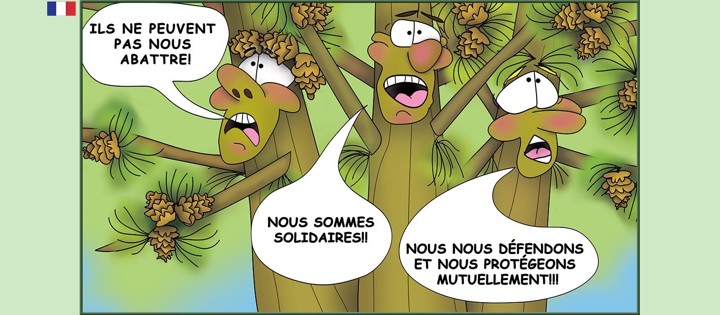 Bizzy Buddies Snail's Pace Productions Des histoires educatives illustrees et humoristiques en plusierur langues Vuja Day Multi Lingual Languages