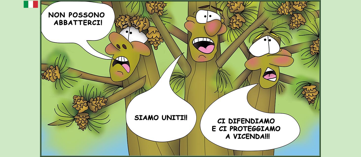 Bizzy Buddies Snail's Pace Productions storie illustrate umoristiche tradotte dall'inglese portoghese spagnola italiana francese tedesca Vuja Day