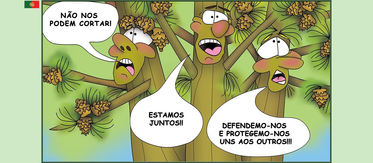Bizzy Buddies Snail's Pace Productions The Three Tree Brothers Historias educativas ilustradas e bem-humoradas em varias linguas