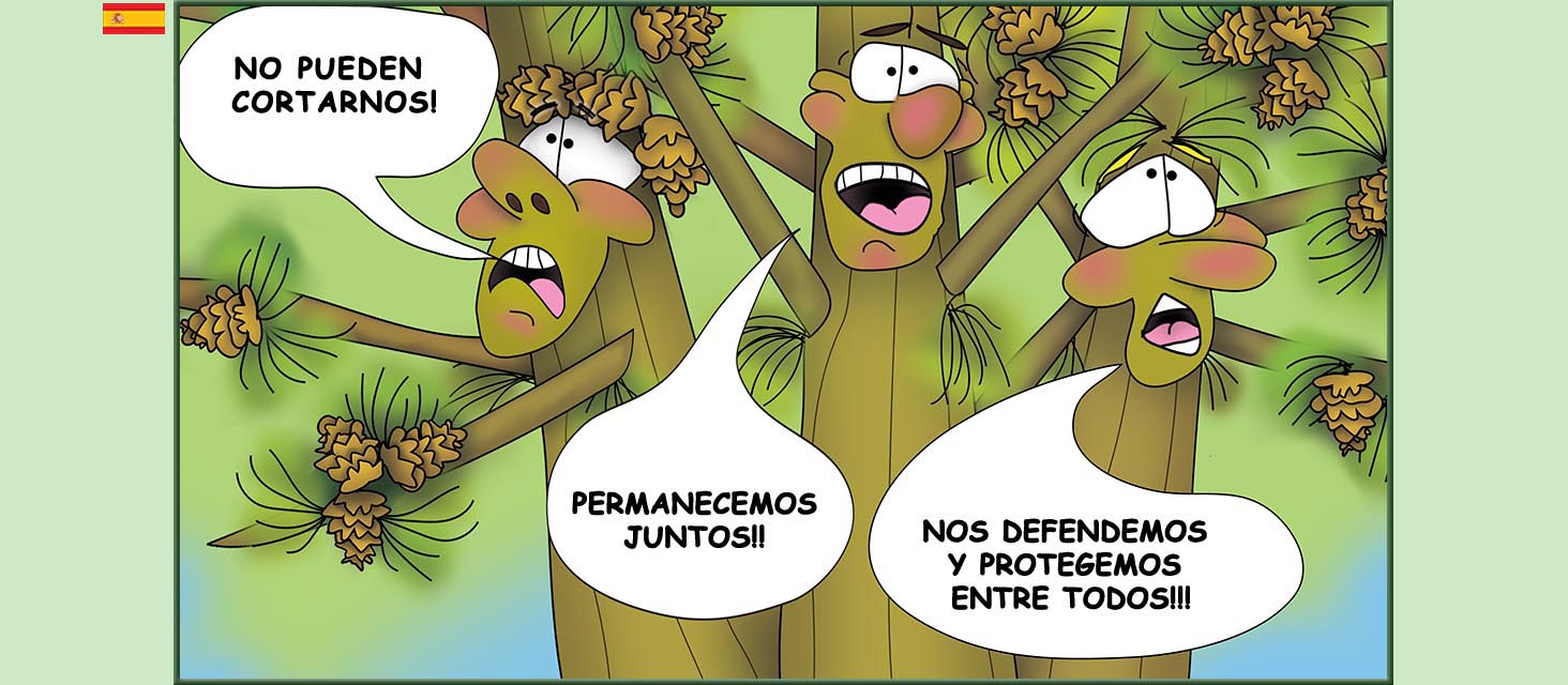 Bizzy Buddies Snail's Pace Productions Los Tres Hermanos Árbol Cuentos educativos ilustrados y humoristicos en varios idiomas