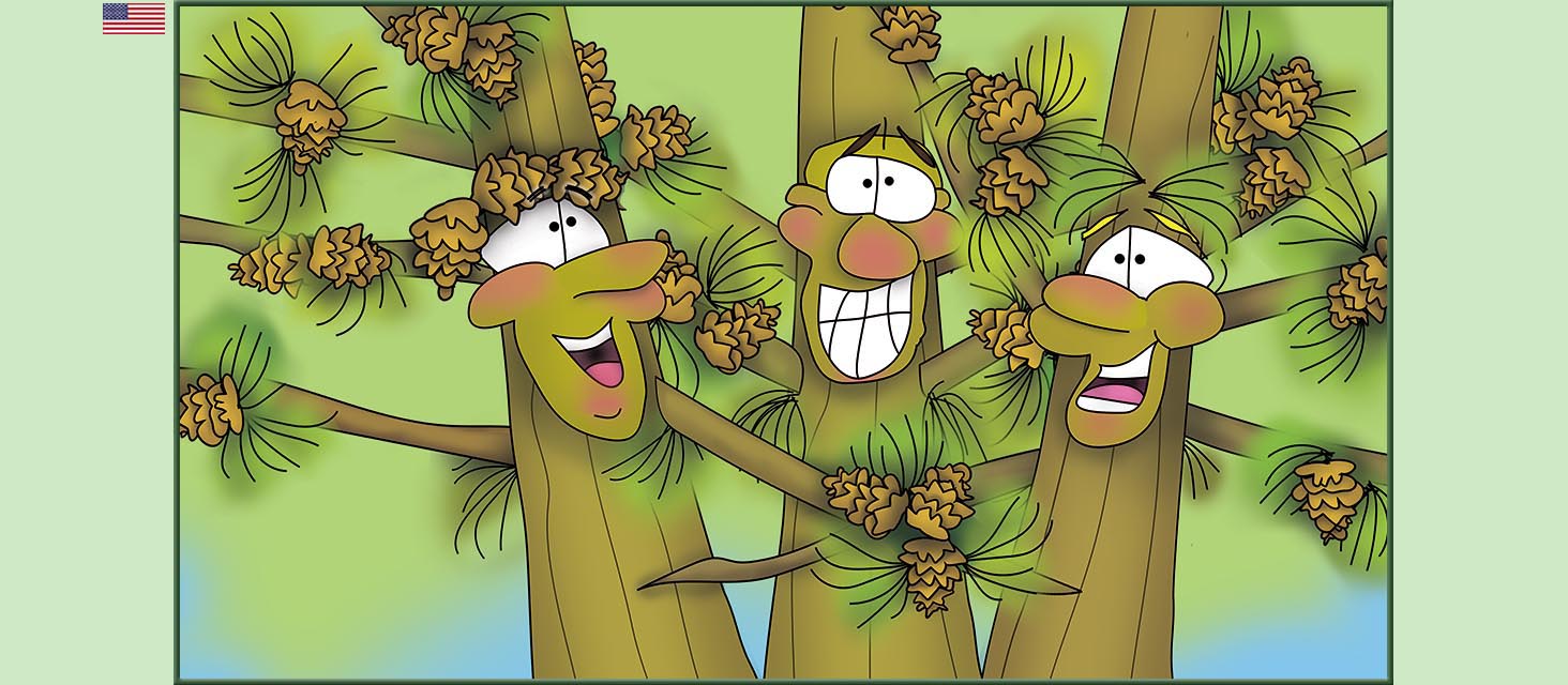 Bizzy Buddies Snail's Pace Productions The Three Tree Brothers Educational Illustrated Stories Multi Lingual Languages