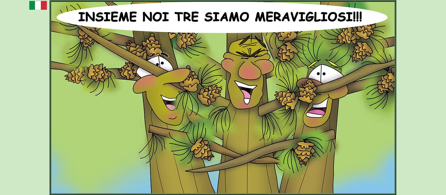 Bizzy Buddies Snail's Pace Productions storie illustrate umoristiche tradotte dall'inglese portoghese spagnola italiana francese tedesca Vuja Day