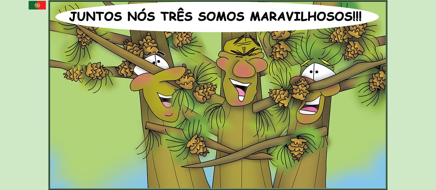 Bizzy Buddies Snail's Pace Productions The Three Tree Brothers Historias educativas ilustradas e bem-humoradas em varias linguas