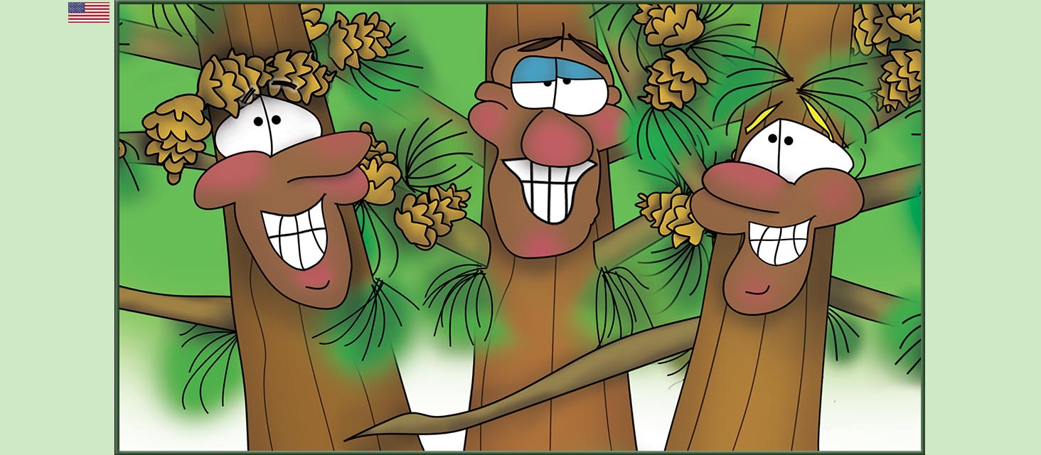 Bizzy Buddies Snail's Pace Productions The Three Tree Brothers Educational Illustrated Stories Multi Lingual Languages