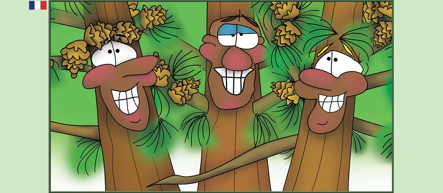 Bizzy Buddies Snail's Pace Productions Des histoires educatives illustrees et humoristiques en plusierur langues Vuja Day Multi Lingual Languages