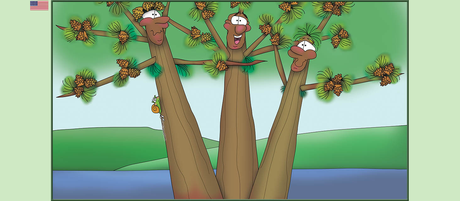 Bizzy Buddies Snail's Pace Productions The Three Tree Brothers Educational Illustrated Stories Multi Lingual Languages