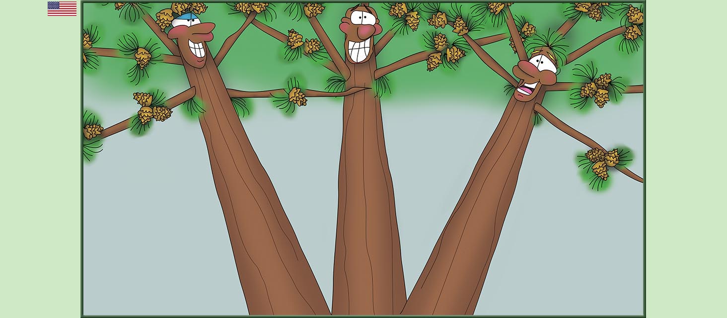 Bizzy Buddies Snail's Pace Productions The Three Tree Brothers Educational Illustrated Stories Multi Lingual Languages