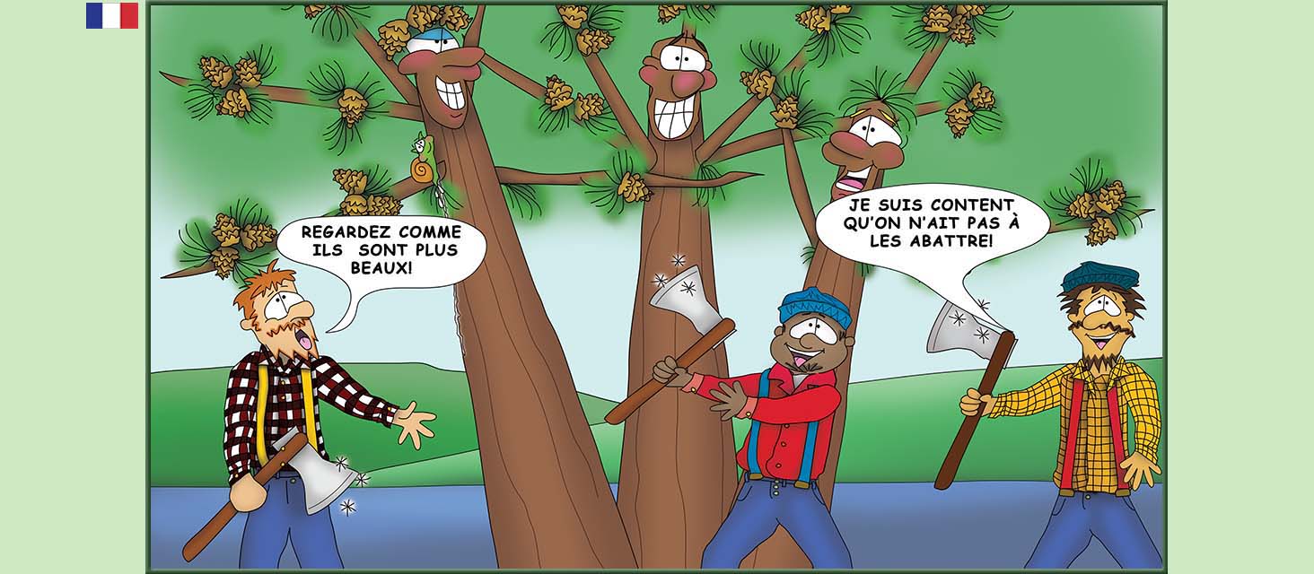 Bizzy Buddies Snail's Pace Productions Des histoires educatives illustrees et humoristiques en plusierur langues Vuja Day Multi Lingual Languages