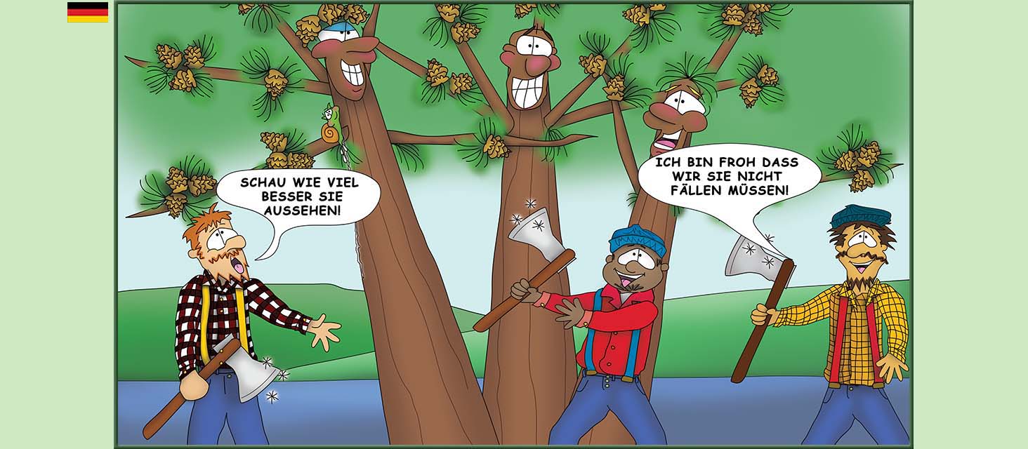 Bizzy Buddies Snail's Pace Productions Die Drei Baumbruder Aus dem Englishchen ins Deutsche ubersetzt Vuja Day Multi Lingual Languages