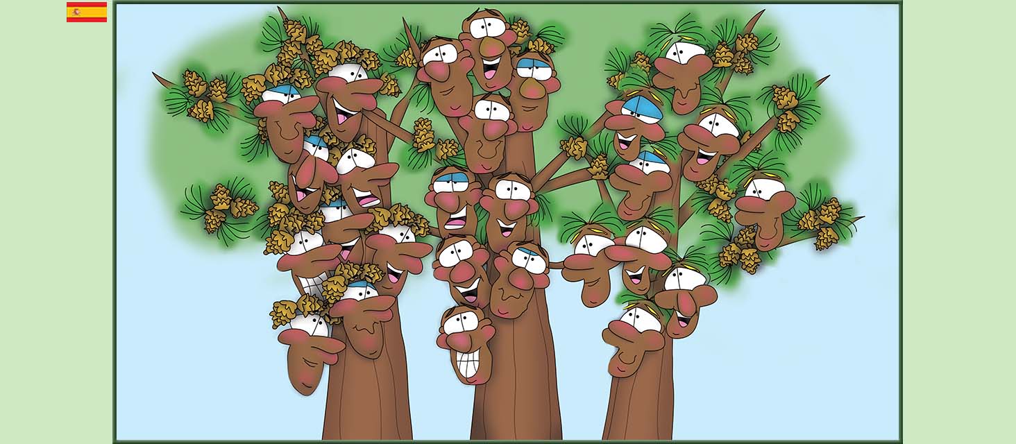 Bizzy Buddies Snail's Pace Productions Los Tres Hermanos Árbol Cuentos educativos ilustrados y humoristicos en varios idiomas