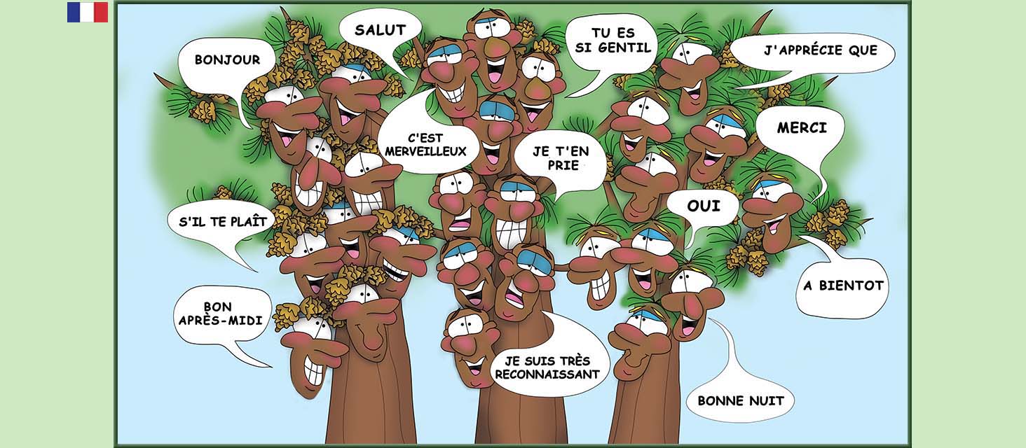 Bizzy Buddies Snail's Pace Productions Des histoires educatives illustrees et humoristiques en plusierur langues Vuja Day Multi Lingual Languages