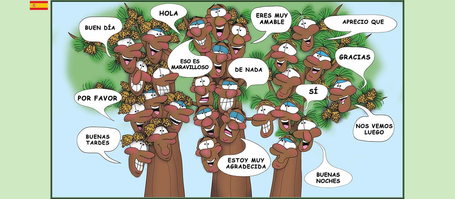 Bizzy Buddies Snail's Pace Productions Los Tres Hermanos Árbol Cuentos educativos ilustrados y humoristicos en varios idiomas