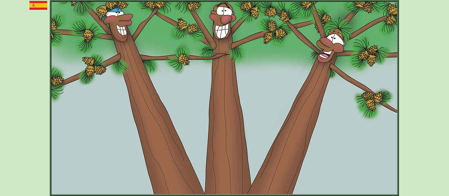 Bizzy Buddies Snail's Pace Productions Los Tres Hermanos Árbol Cuentos educativos ilustrados y humoristicos en varios idiomas