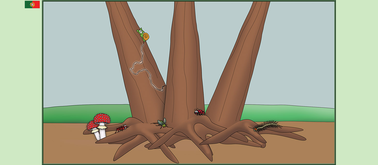 Bizzy Buddies Snail's Pace Productions The Three Tree Brothers Historias educativas ilustradas e bem-humoradas em varias linguas