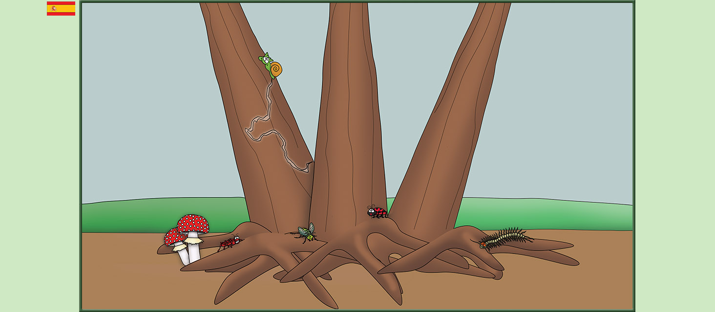 Bizzy Buddies Snail's Pace Productions Los Tres Hermanos Árbol Cuentos educativos ilustrados y humoristicos en varios idiomas