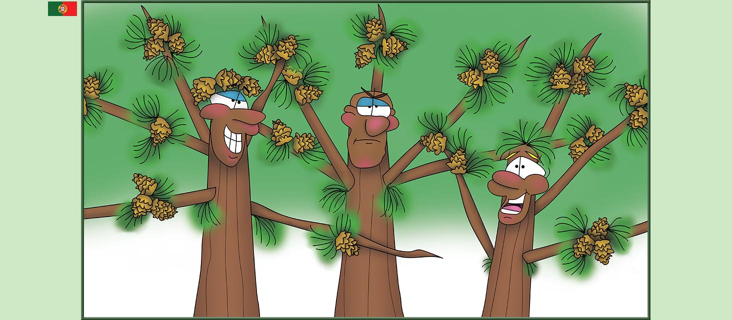 Bizzy Buddies Snail's Pace Productions The Three Tree Brothers Historias educativas ilustradas e bem-humoradas em varias linguas