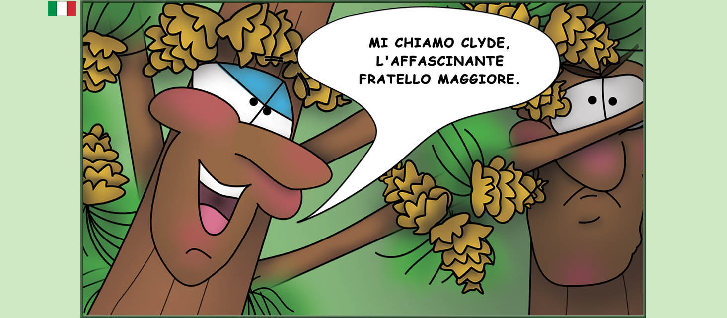 Bizzy Buddies Snail's Pace Productions storie illustrate umoristiche tradotte dall'inglese portoghese spagnola italiana francese tedesca Vuja Day