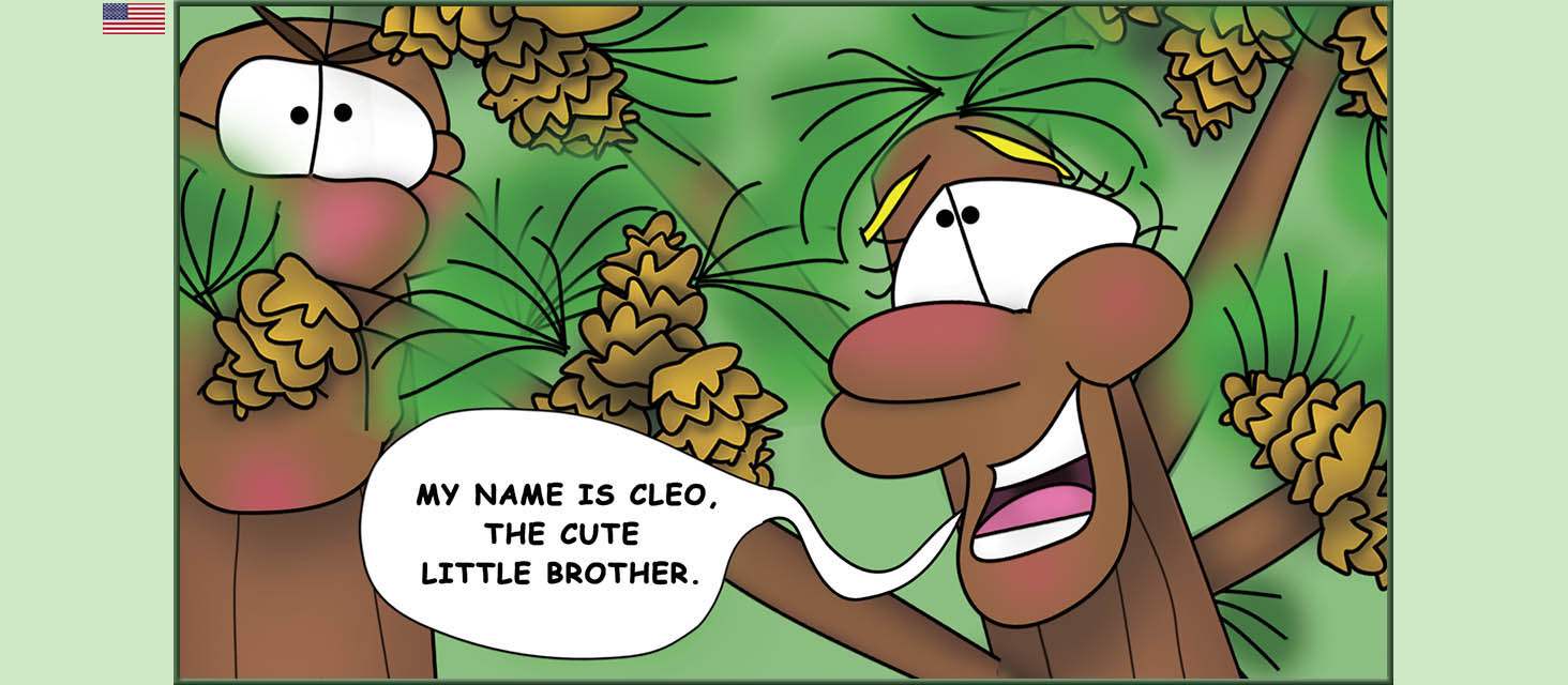 Bizzy Buddies Snail's Pace Productions The Three Tree Brothers Educational Illustrated Stories Multi Lingual Languages